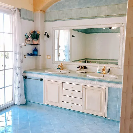 Alexander's Collecorvino