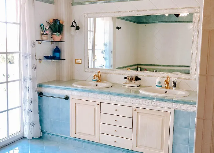 Alexander's Collecorvino